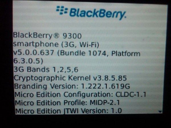 blackberry93002