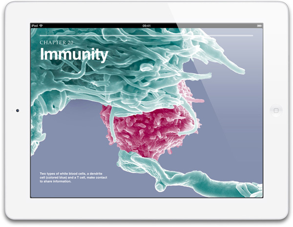 iPad Retina 07