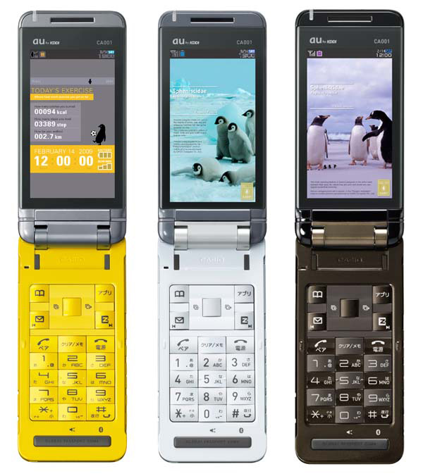2009_02_06_CasioCA001-3