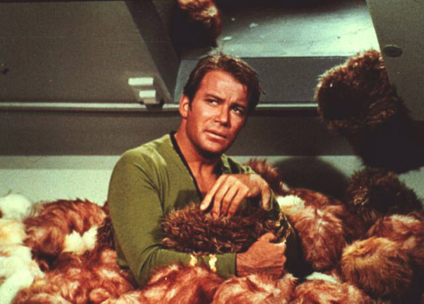 2009_05_21_Tribbles3