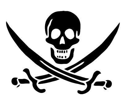 El ejército francés colabora con el Gobierno en contra de la piraterí­a