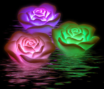 Rosas con luces para un baño romántico