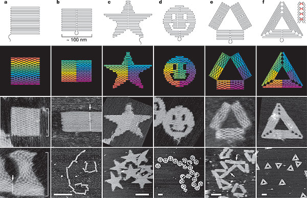 IBM intentará crear microchips inspirados en nuestro ADN
