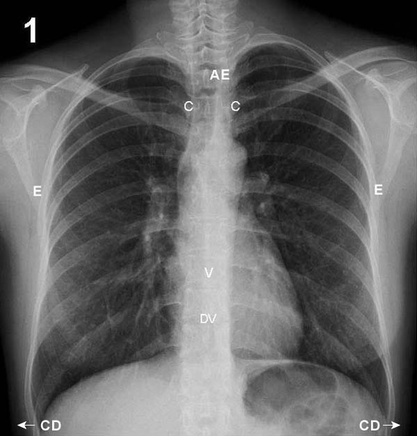 Radiología_02 Radiología_02