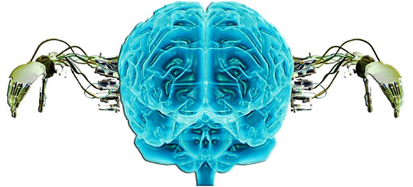 Los cientí­ficos aseguran que se creará un cerebro artificial en diez años
