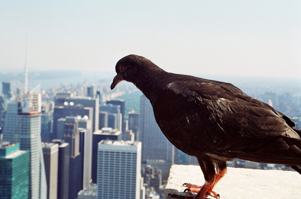 Las veinte imágenes más impactantes vistas en Google Earth – 3ª parte