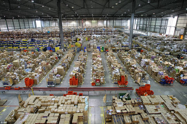 amazonavidad3 amazonavidad3