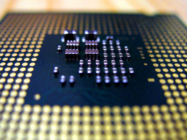 inteldenuncia2
