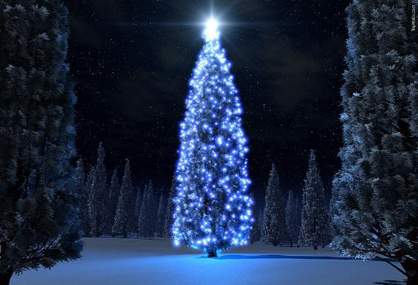 navidad000 navidad000