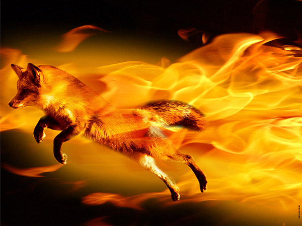 Firefox 3.6, todas las novedades de la próxima versión del navegador