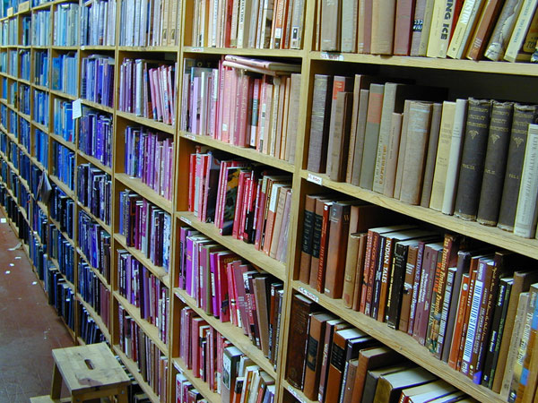El 20% de las editoriales digitalizará el 50% de sus libros en 2010