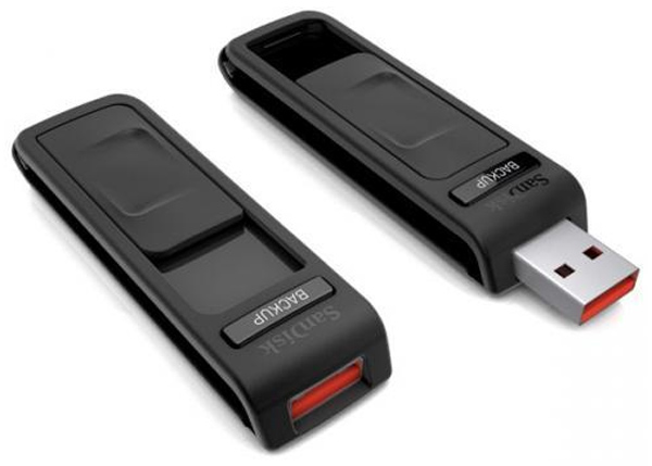 sandisk1 sandisk1