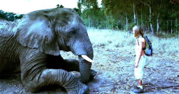 Viaje Mágico a ífrica, primera pelí­cula española í­ntegramente rodada en 3D