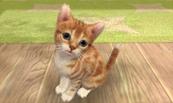 Nintendogs + Cats, un juego en 3D lleno de pequeños cachorros de perros y gatos