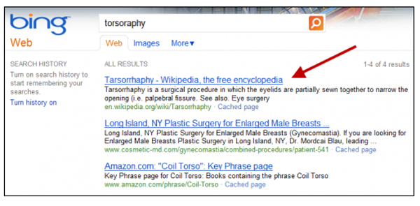 binggoogle3