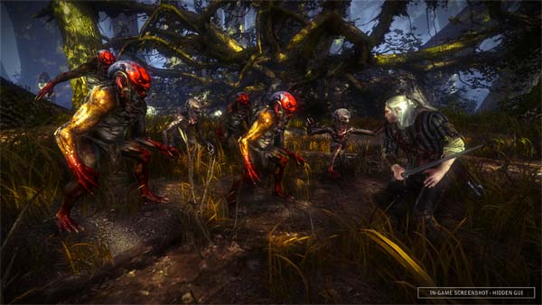 The Witcher 2 Assassins of Kings, Análisis a fondo del The Witcher 2 Assassins of Kings