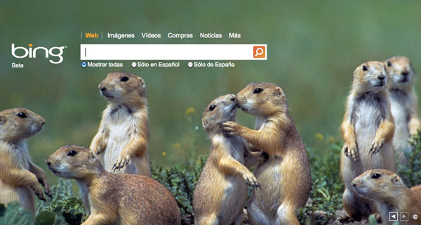 bing Bing, el buscador de Microsoft, cumple dos años sin conseguir seducir a los internautas 3