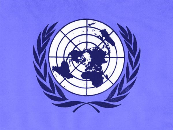 P2P, la ONU afirma que el bloqueo de páginas P2P es contrario a los derechos humanos