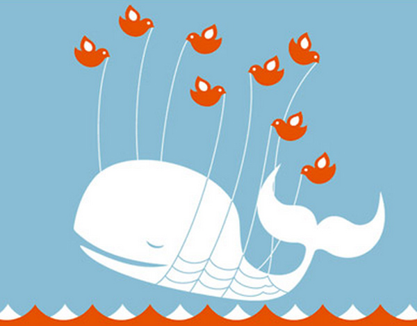 twitter-baja-02 twitter baja 02