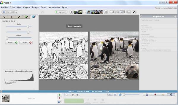 Picasa 3.9, visualiza, edita y organiza las fotos del equipo
