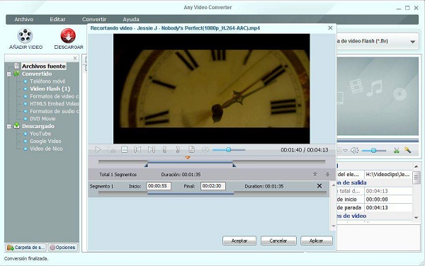 Any Video Converter