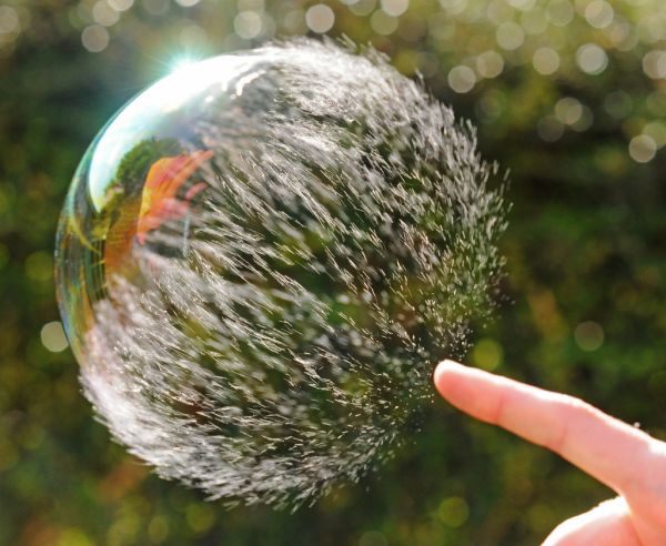 stumbleupon 2011 foto