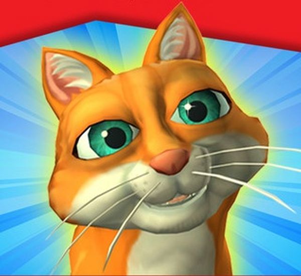 Fiasco The Cat, arregla los desastres de este dulce gatito