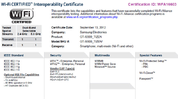 i9300_tizen i9300 tizen
