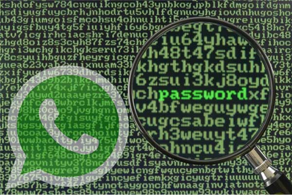whatsapp premios tuexperto.com