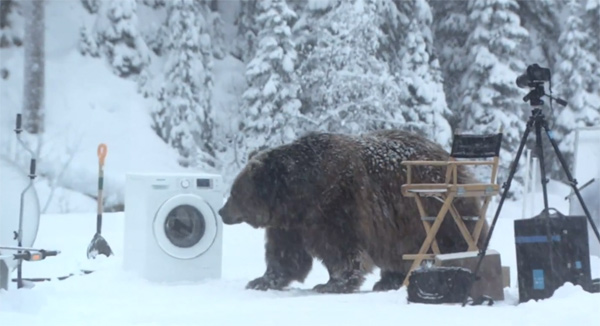 Samsung EcoBubble funciona incluso en agua helada para lavar una piel de oso