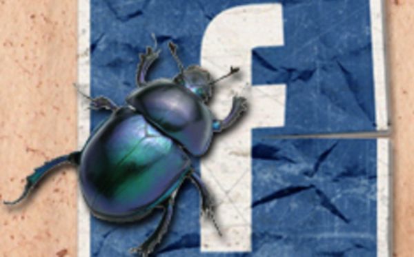 facebook