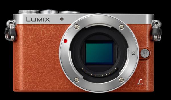 Panasonic Lumix DMC-GM1