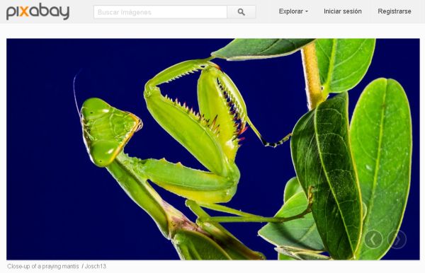 4 sitios donde encontrar fotos gratis en Internet