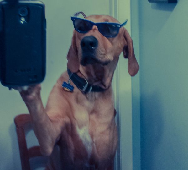 Cómo hacer un buen selfie o autorretrato