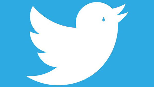 El uso de Twitter cae un 10 por ciento en un año