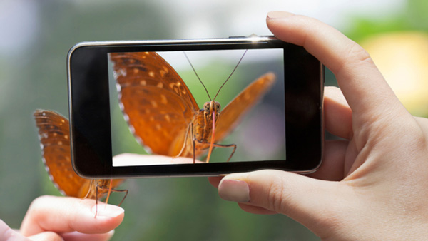 fotos_smartphones_02 Foto con smartphone