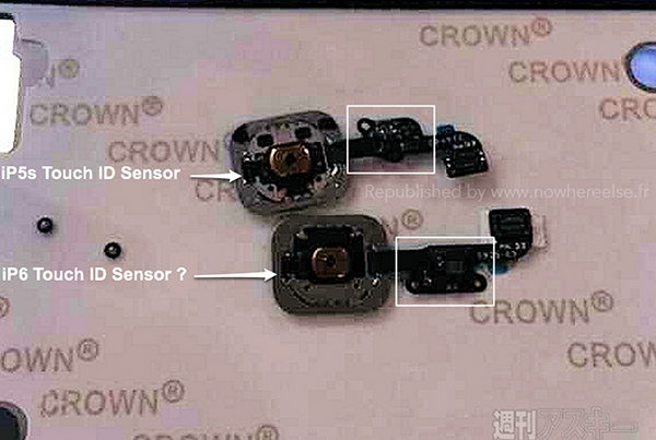 Se filtran fotos del sensor de huellas dactilares del iPhone 6