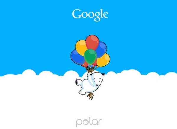 google-polar
