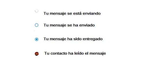 circulos-facebook-01 circulos facebook 01