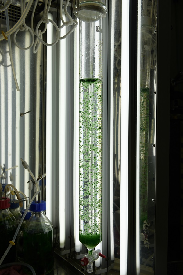 Así son los mejores inventos de ingeniería del James Dyson Award 3 Green Fairy- finalista internacional JDA 2015 (2)