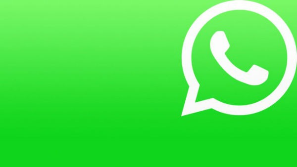 whatsapp contactos