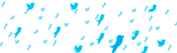 Twtter-gif-01