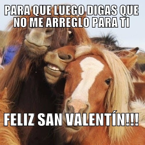Meme caballos san valentin