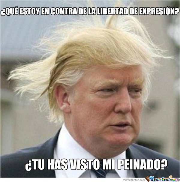Donald Trump peinado