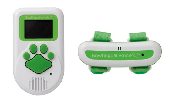 Con este traductor podrás saber por fin lo que piensa tu gato 2 Bowlingual Dog Translation