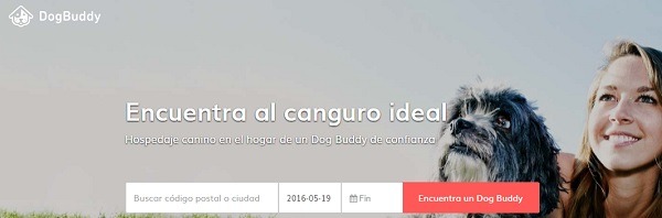 Cómo ganar un dinero extra cada mes a través de Internet 6 dogbuddy
