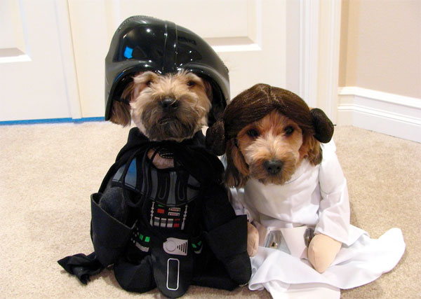 #MayThe4thBeWithYou, diez ideas locas para celebrar el día de Star Wars 3 Mascota Star Wars