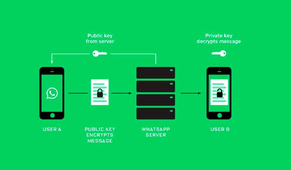 Encuentran una manera de hackear tus mensajes seguros de WhatsApp 2 WhatsApp