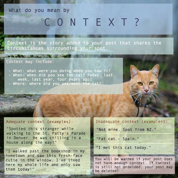 Catspotting y Dogspotting, cómo funciona este fenómeno que arrasa en la red 4 Catspotting