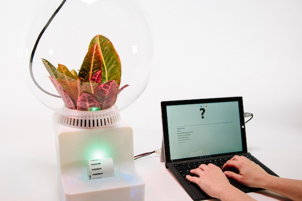 Así es la máquina de Microsoft que te permite hablar con tus plantas 2 Proyecto Florence